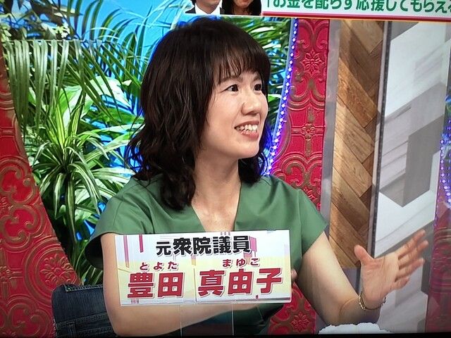 豊田真由子
