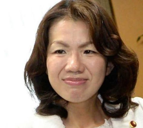 豊田真由子