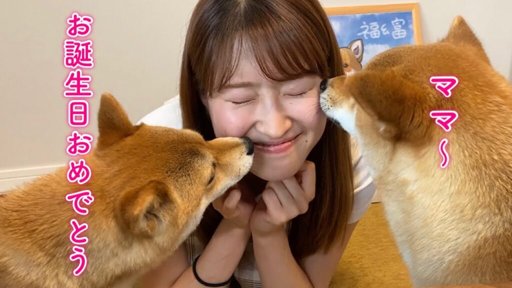 豆柴福ちゃん富くん