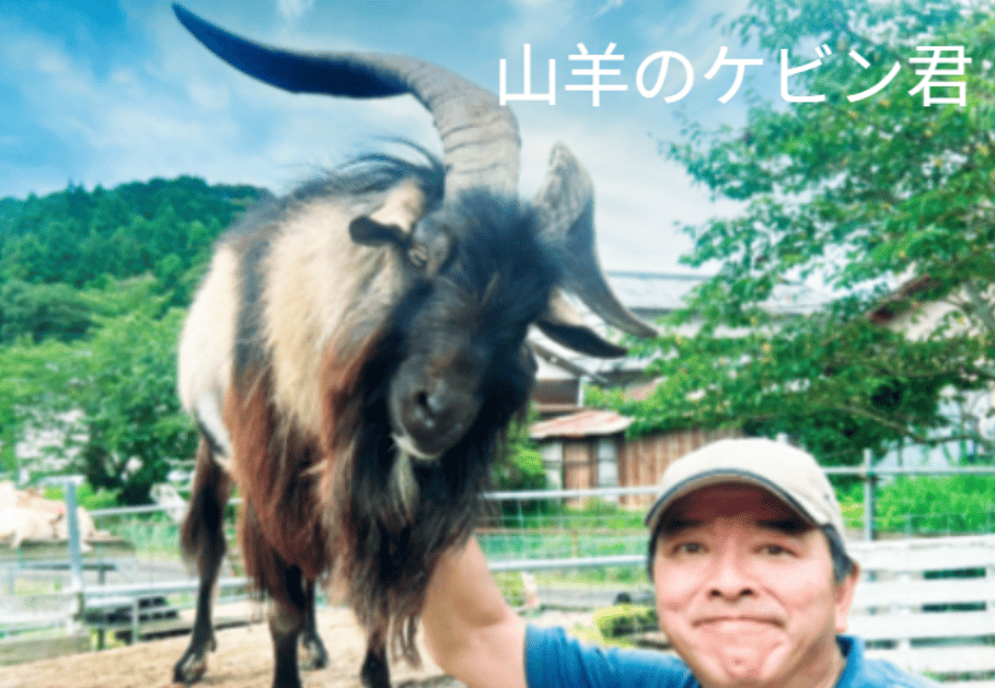 榛葉賀津也